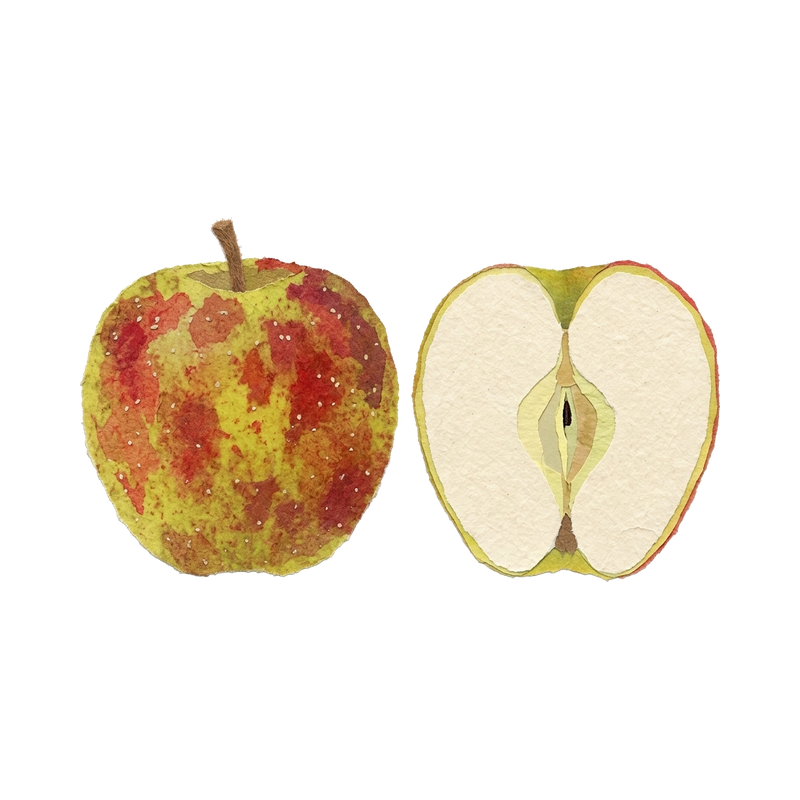 Variety appearance