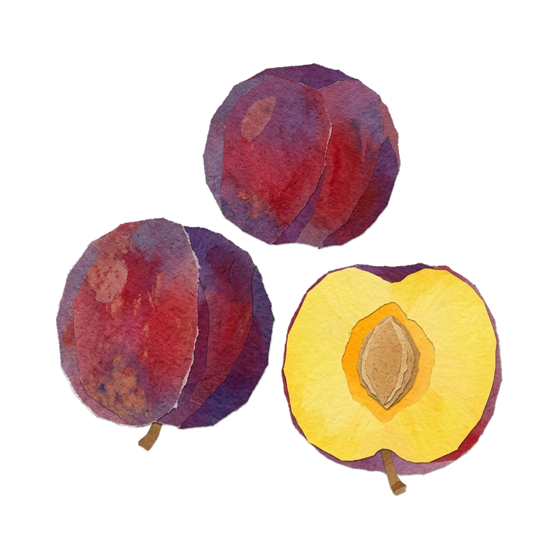 Variety appearance