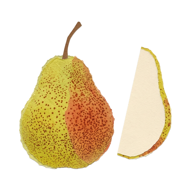 Variety appearance